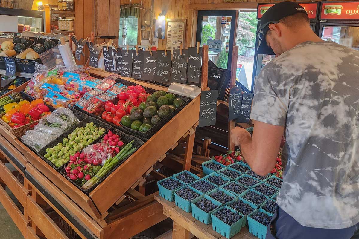 Shopping at a fruit stand on Vancouver Island at Silver Meadows 