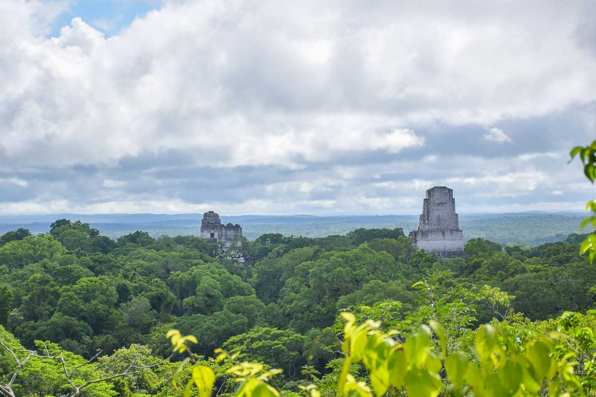 Temples poke through the tree tops at Tikal, Guatemala
