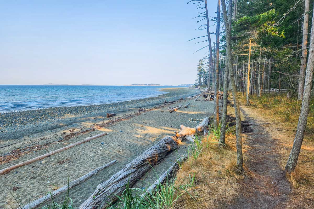 The beach in Rathtrevor Provincial Park