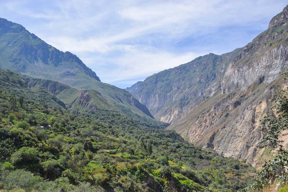 View of Colca Canyon from the hiking trail