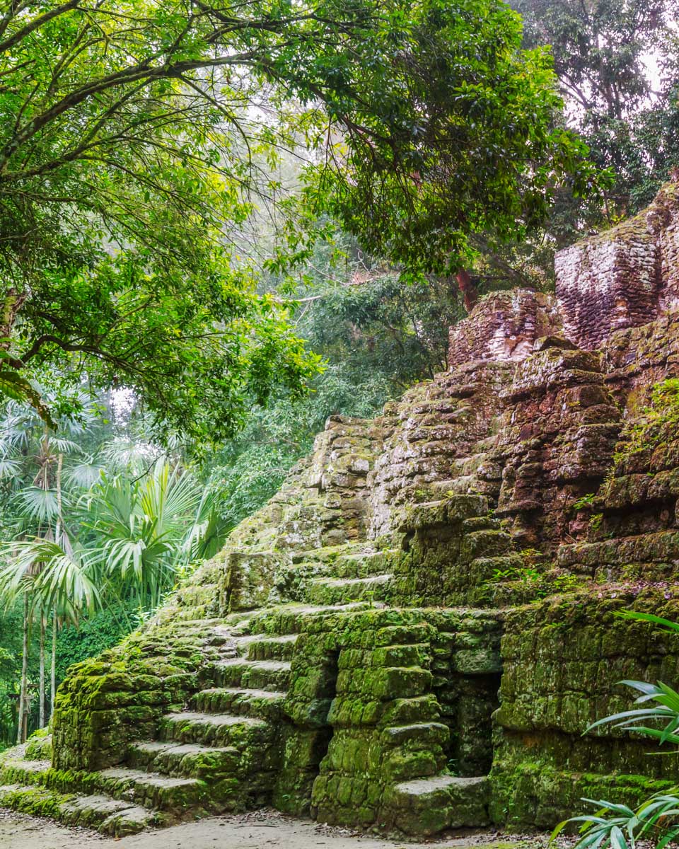 moss grows over some ruins in Tikal