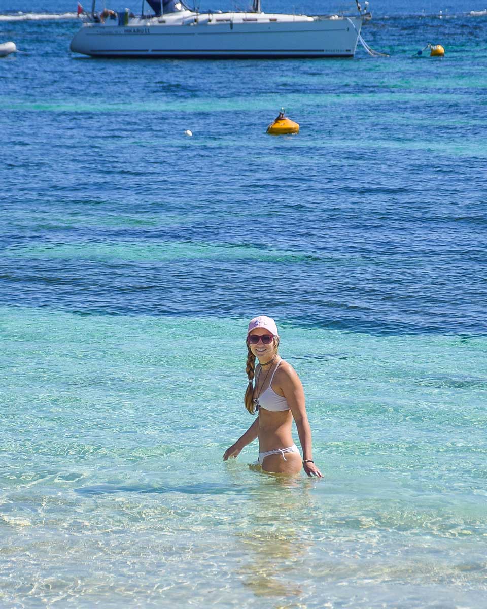 Bailey in the water on Rottnest Island, Perth