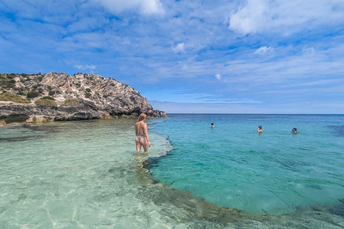 Bailey walks in the water at The Basin on Rottnest Island, Perth