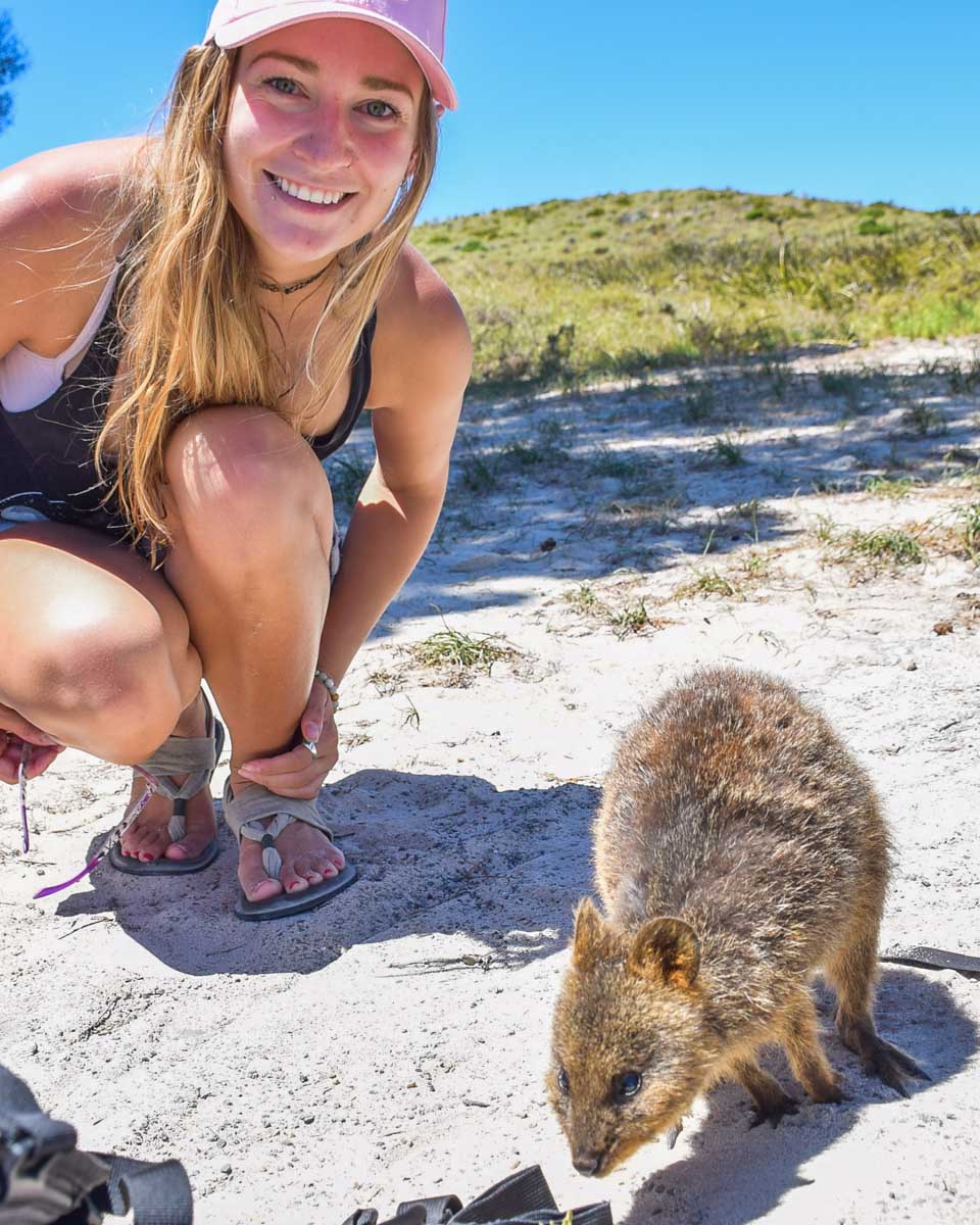 Bailey with a Quokka on Rottnest Island