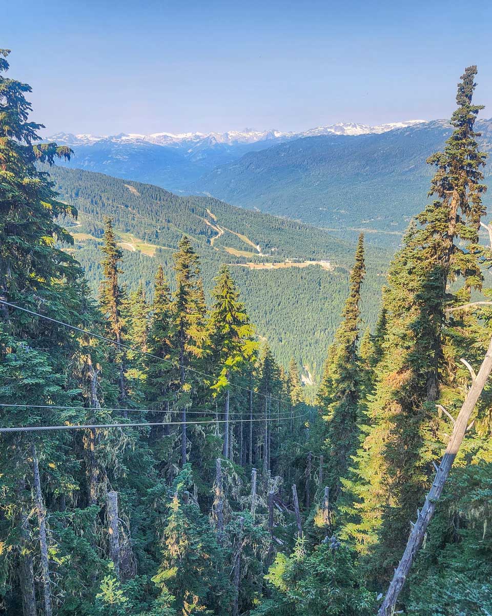 Looking down The Sasquatch in Whistler, Canada