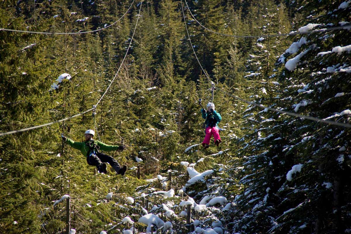 Dual ziplines from Ziptrek Ecotours in Whistler, Canada
