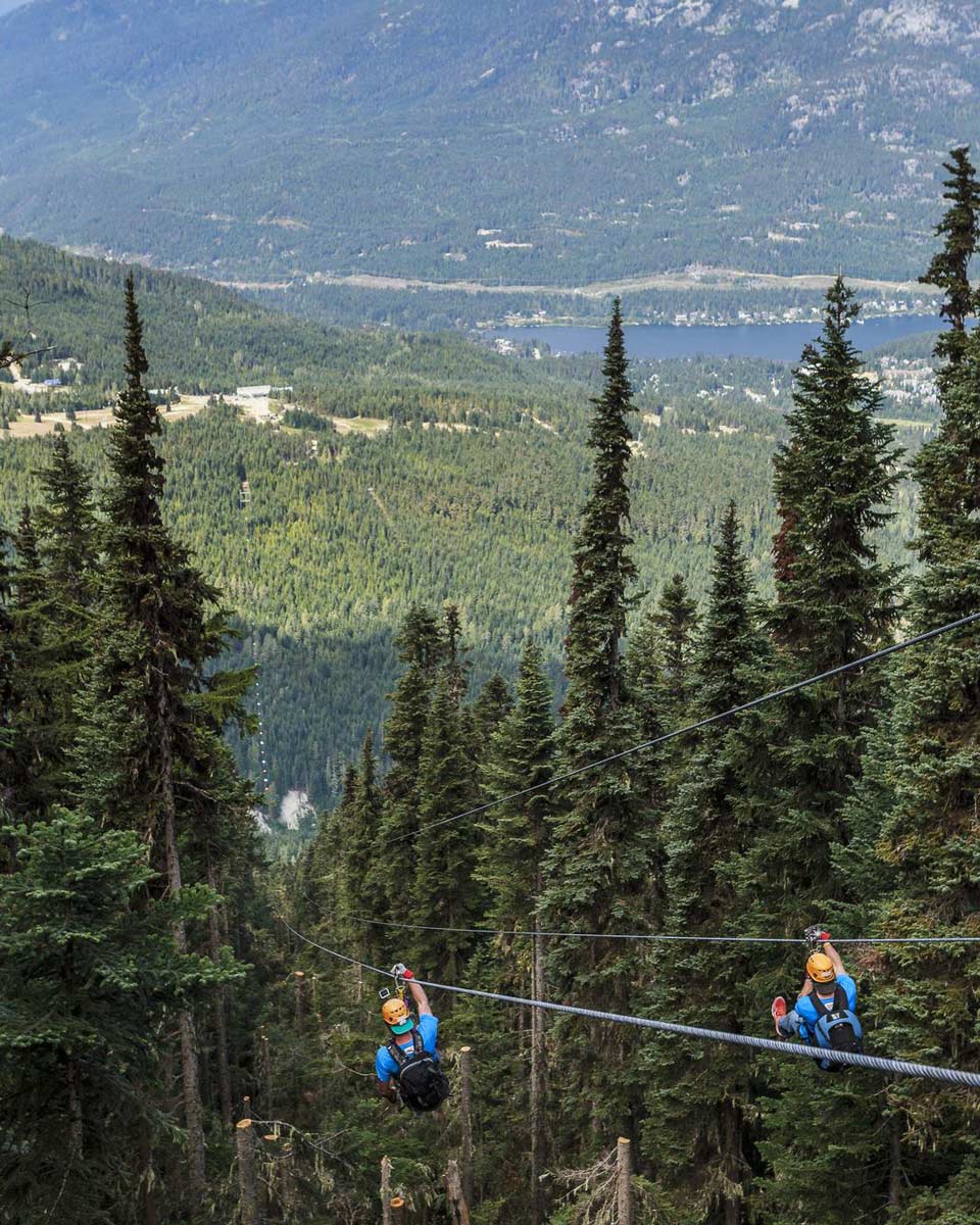 ziplining from Ziptrek Ecotours Whistler, Canada