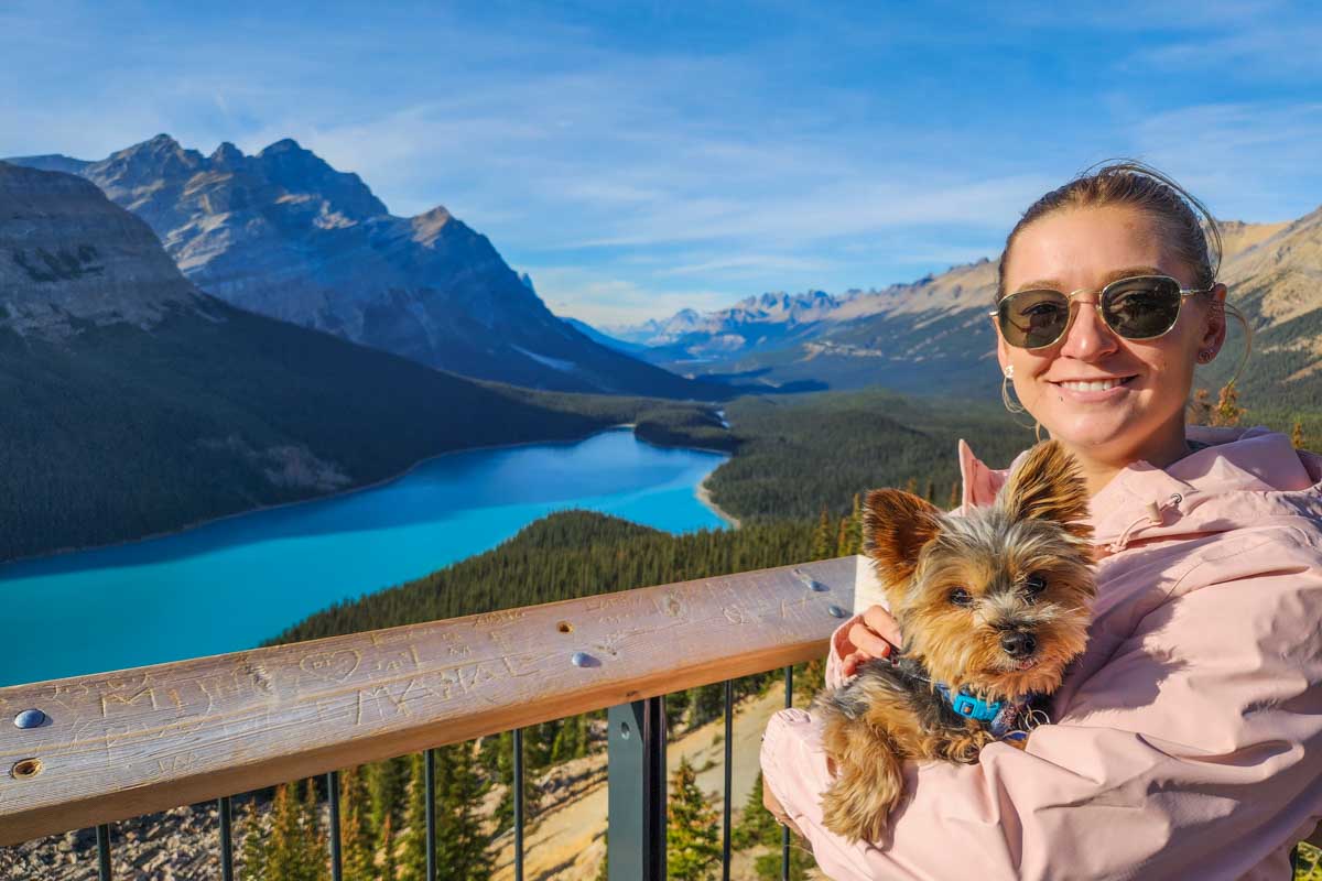 Bailey and rex at Peyto Lake Viewpoint in Banff National Park, Canada