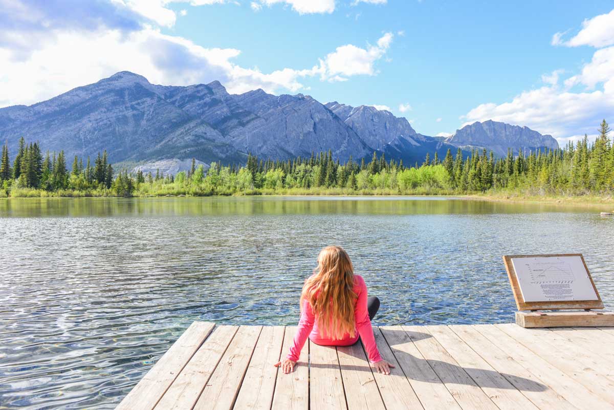 Bailey at Many Springs Da Use Area in Bow Valley Provincial Park