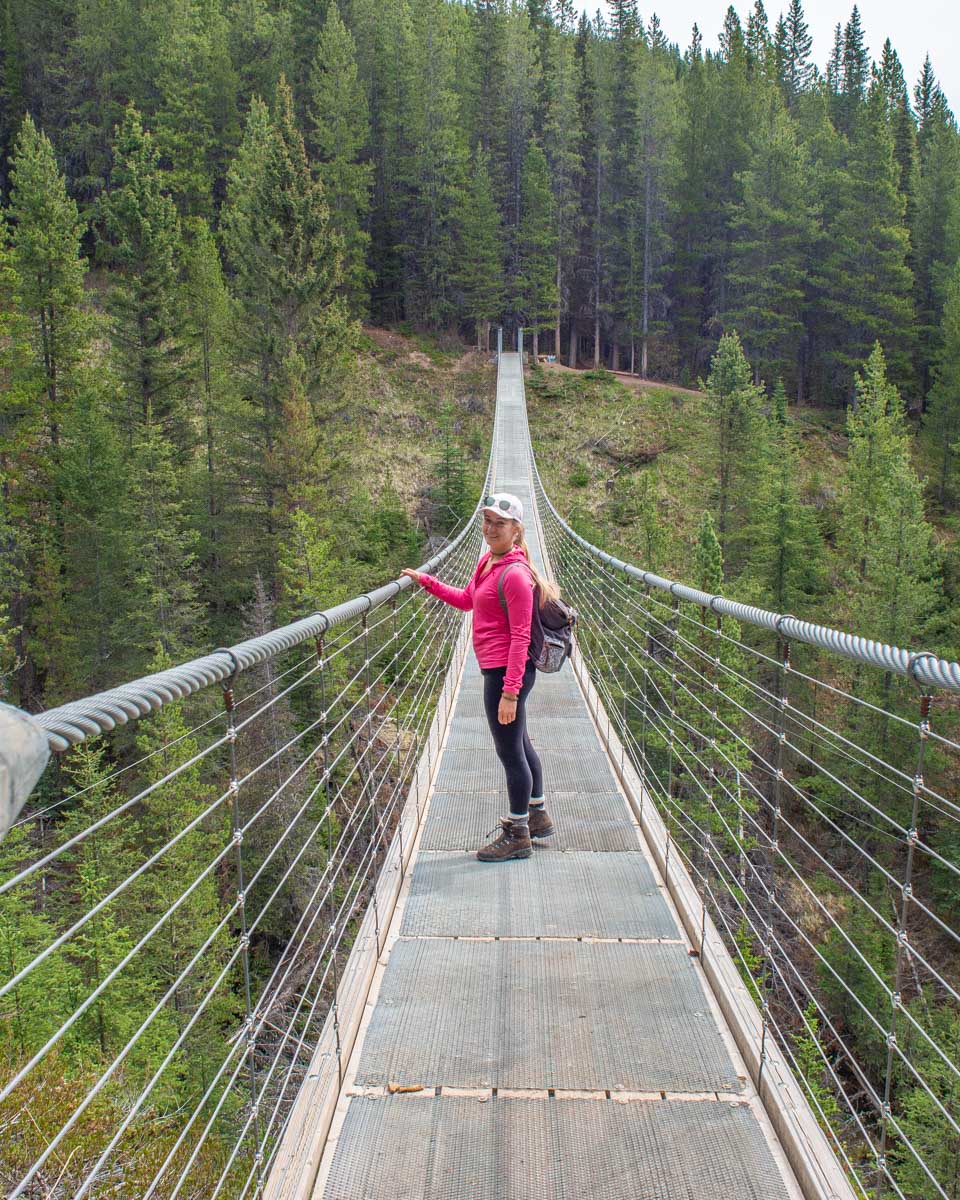 Bailey walks accross Blackshale Suspension Bridge in the Kananaskis, Alberta, Canada