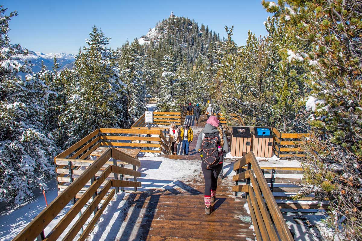 Bailey walks down the boardwalk at the top of the Banff Gondola at th top of Sulphur Mountain