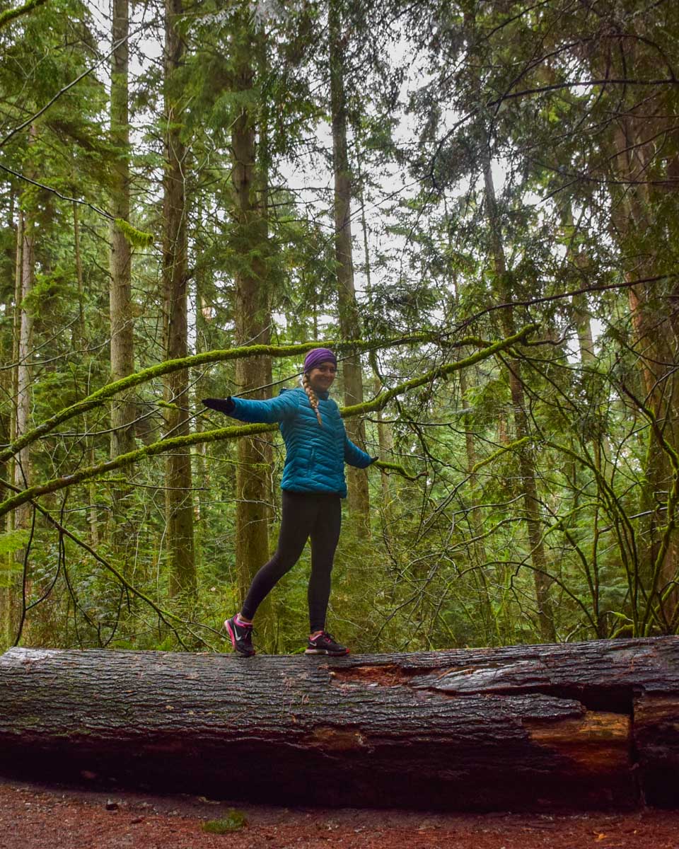 Bailey walks on a log in Stanley Park, Vancouver