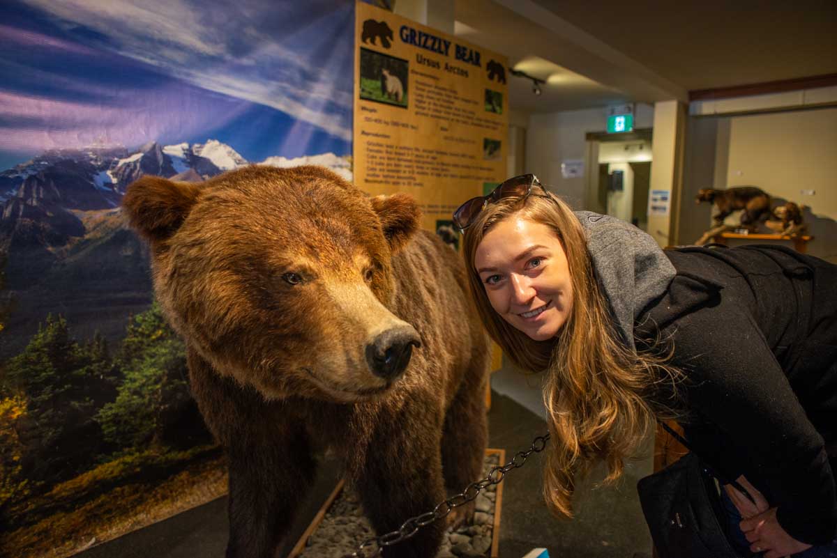 Bailey with a stuffed bear at the interpretive center at the top of the Lake Louise Gondola