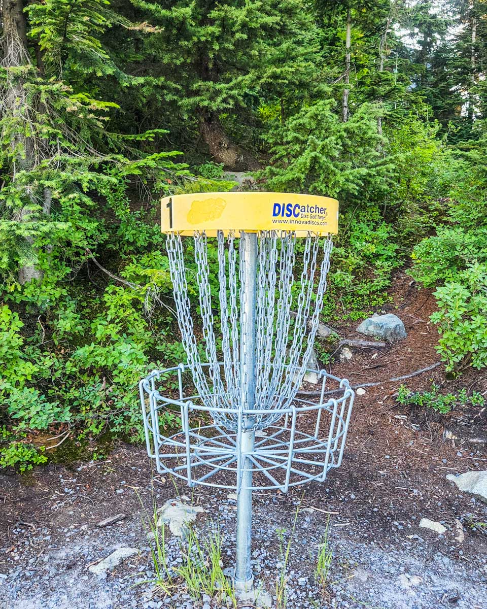 Disc golf net on Grouse Mountain, Vancouver