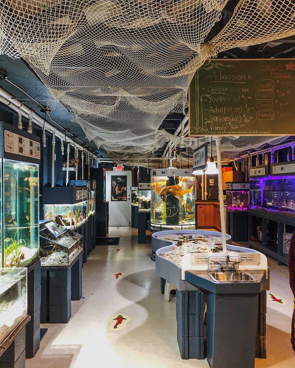 Discovery Passage Aquarium Campbell River