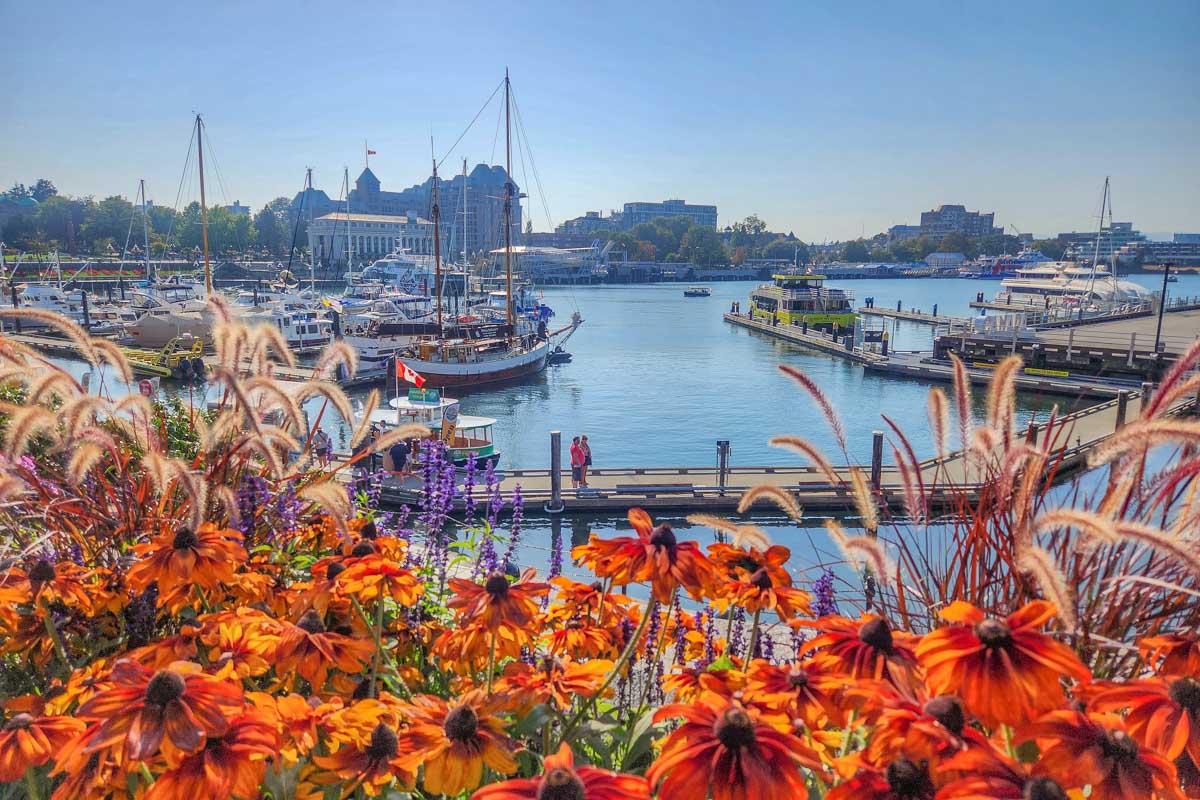 Flowers and Victoria harbor on Vancouver Island, BC