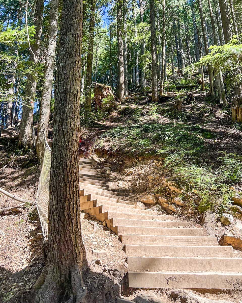 The steps up the grouse grind