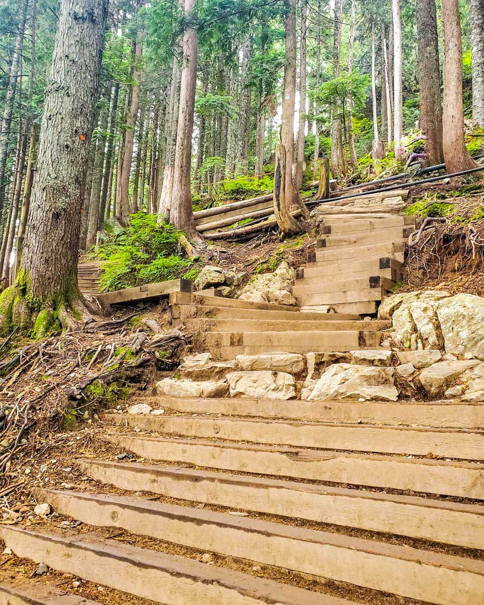 Grouse-Grind-steps