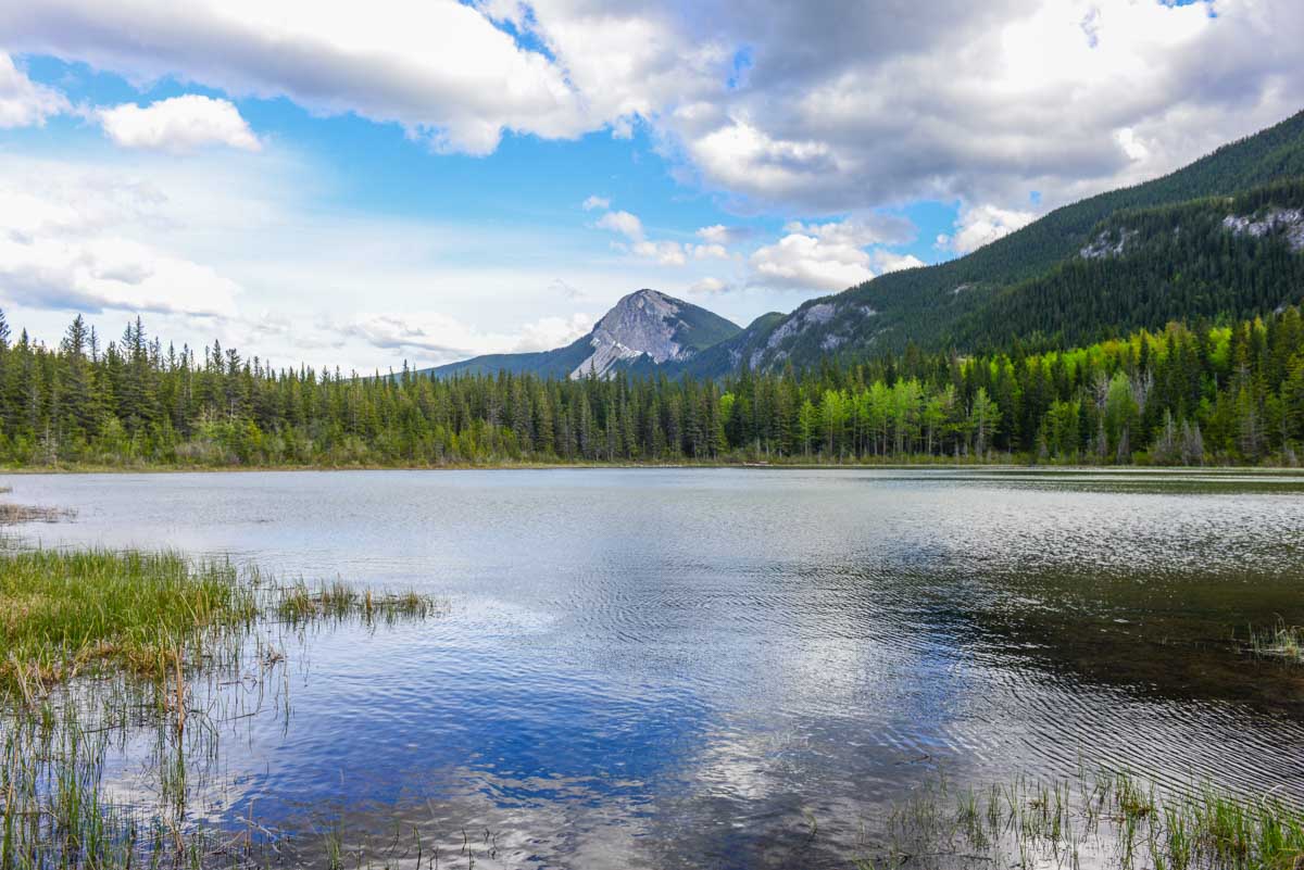 Middle Lake in Bow Valley Provincial Park