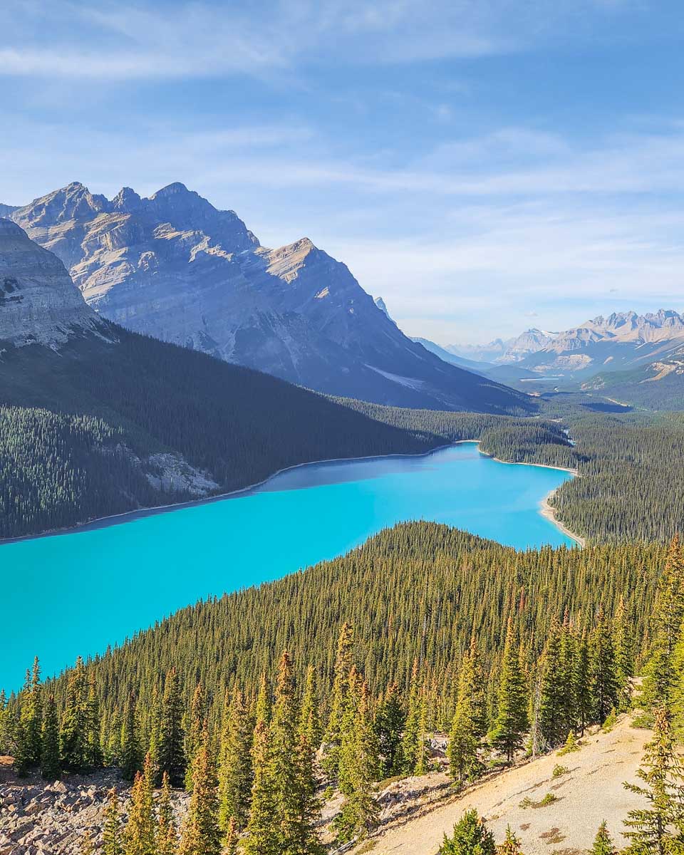 Peyto Lake Viewpoint in Banff National Park on the Icefields Parkway, Canada