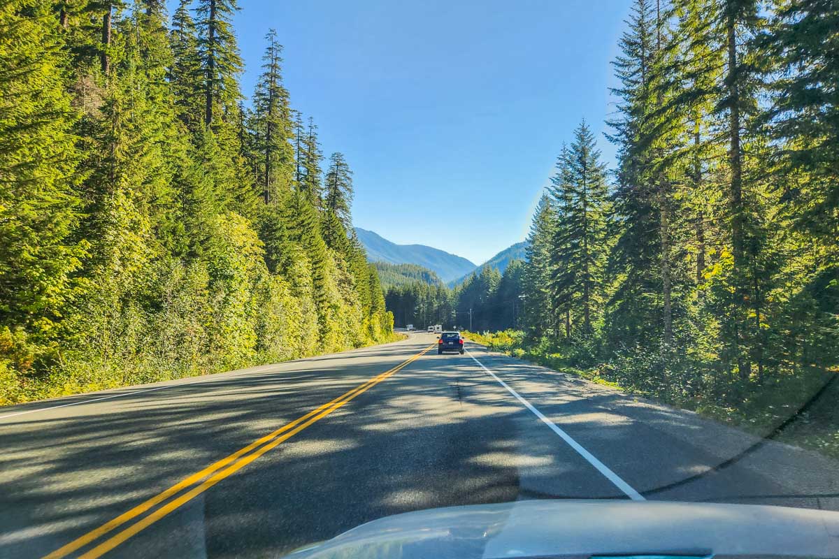 Road with pine trees on the side on Vancouver Island, Canada
