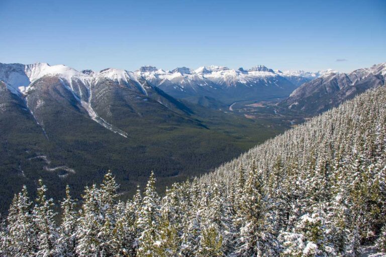 Snow covered trees and the Bow Valley as seen from the Banff Gondola'