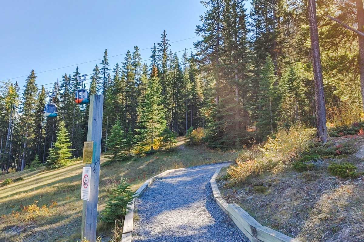 Sulphur-Mountain-Trail below Banff Gondola