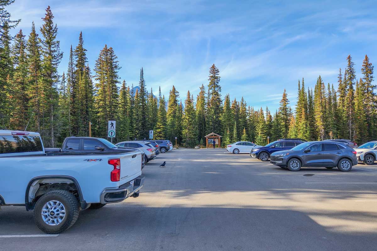 The main parking lot at Peyto Lake Viewpoint in Banff National Park, Canada