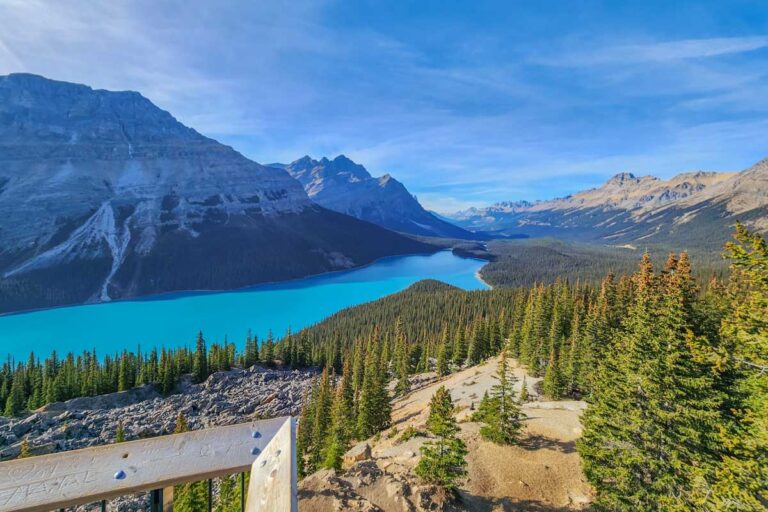 View from the edge of the platform at Peyto Lake Viewpoint in Banff National Park, Canada