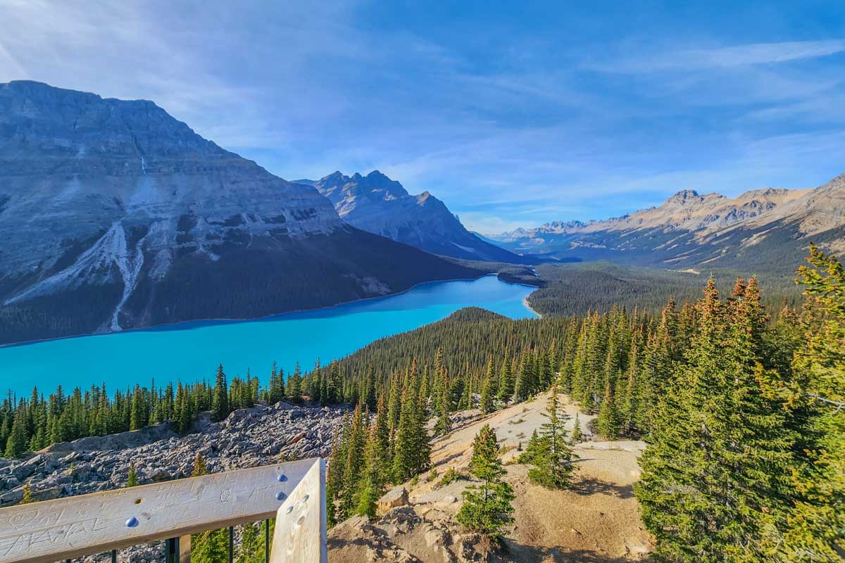 View from the edge of the platform at Peyto Lake Viewpoint in Banff National Park, Canada