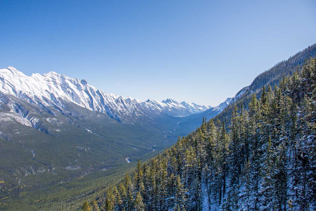 View out the window of the Banff Gondola