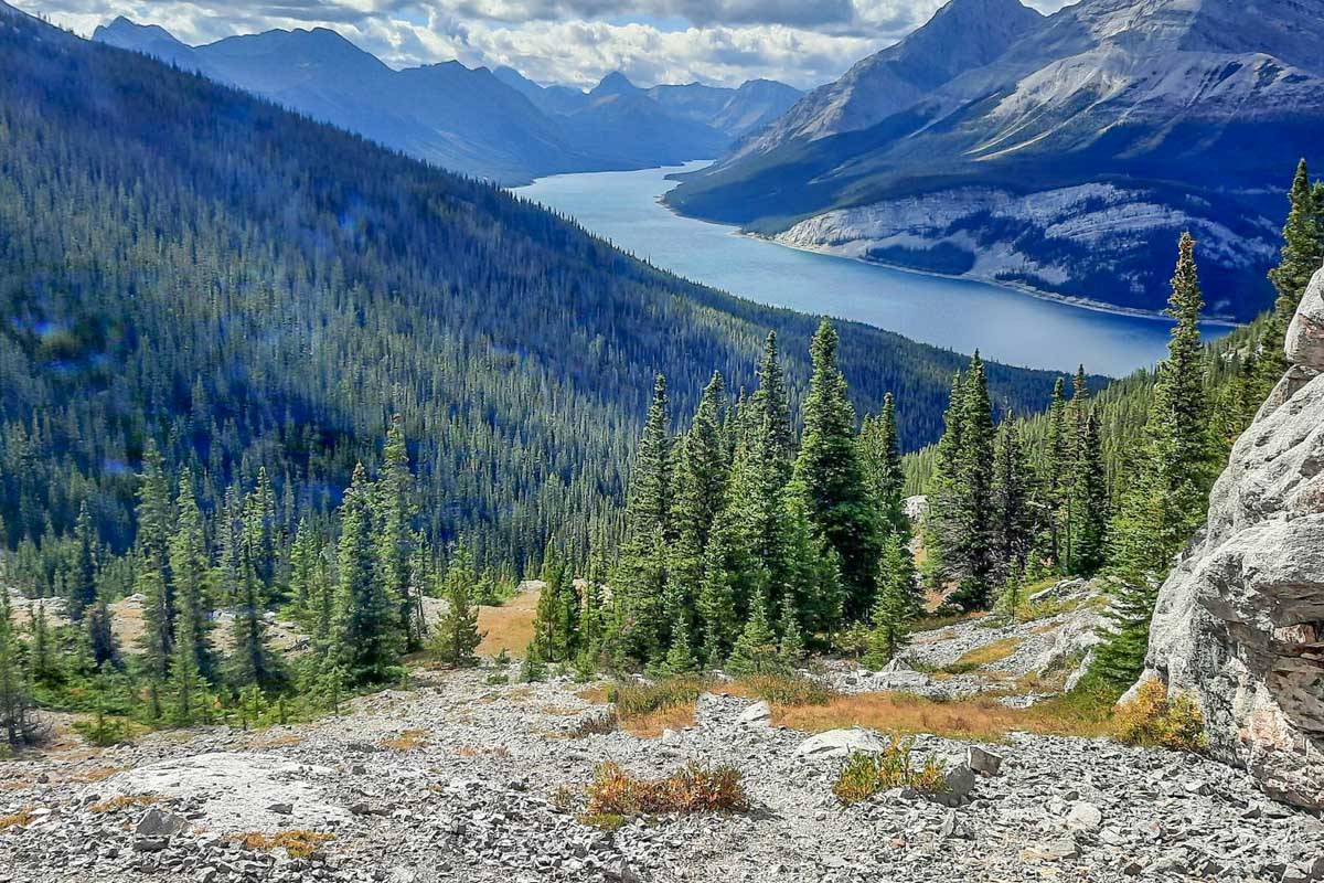 West wind pass trail in the Kananaskis