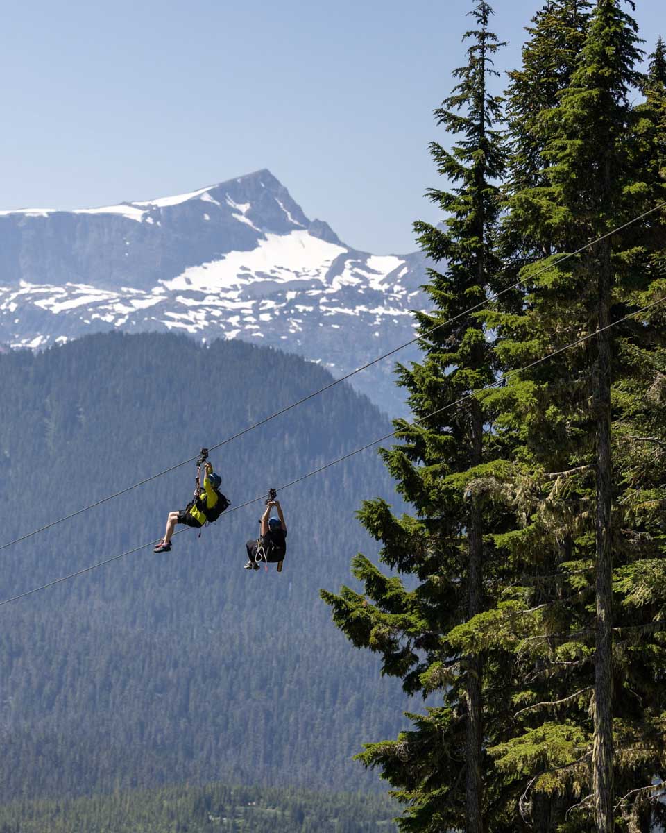 Ziptour at Mt Washington Alpine Resort