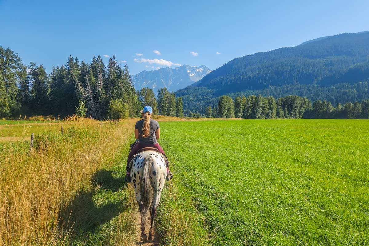 Bailey horseback riding in Pemberton BC