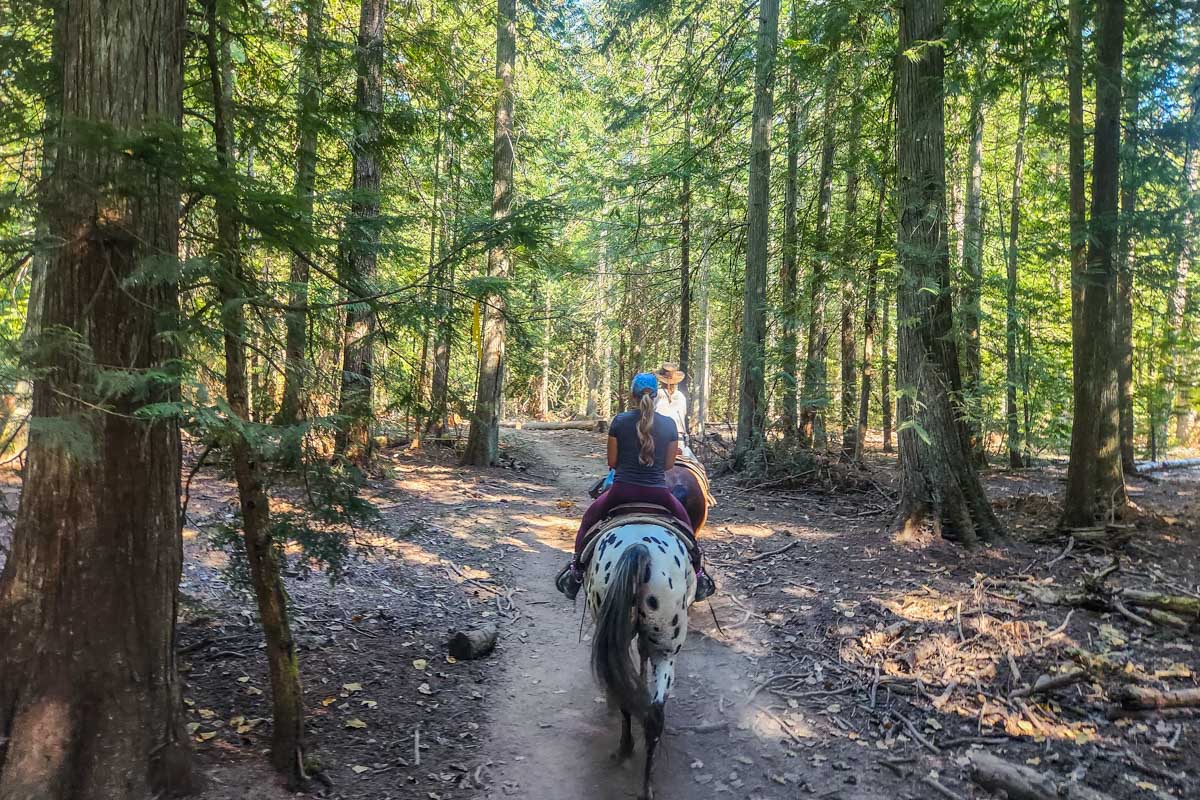 Bailey rides her horse through the forest in Pemberton BC