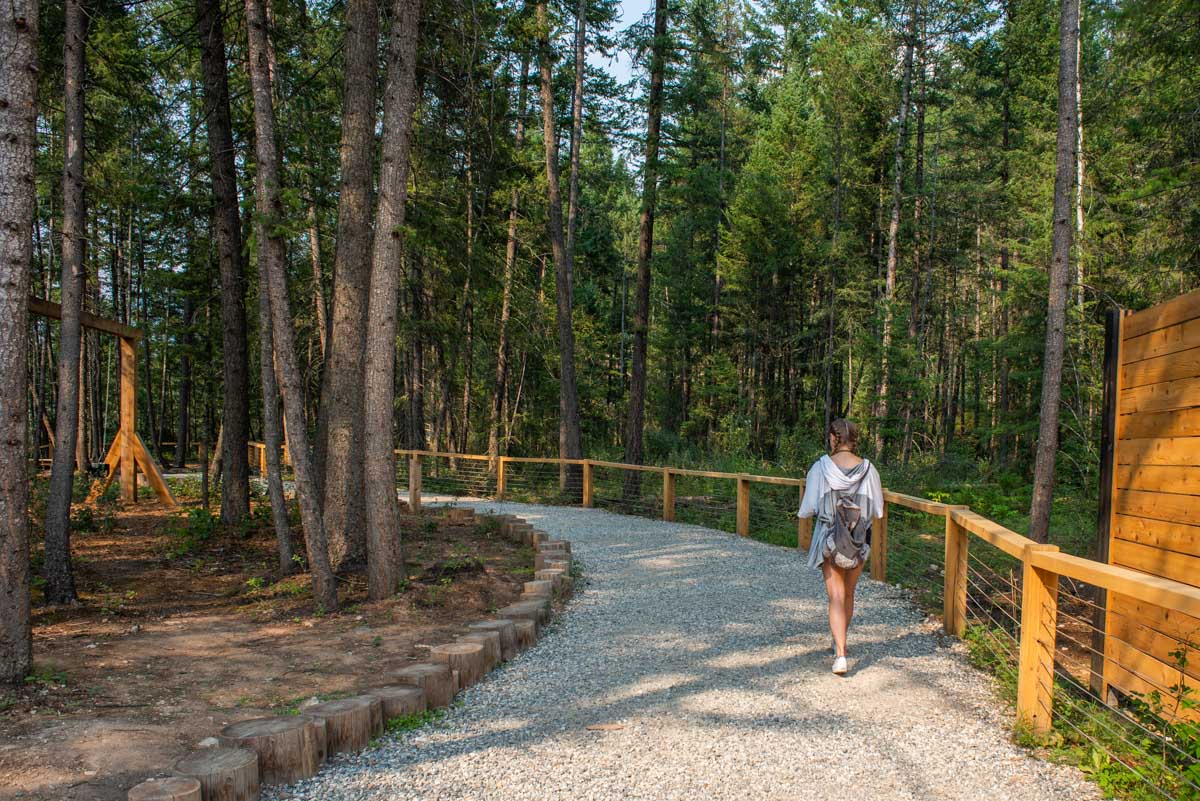 Bailey walks along a trail at the Golden Suspension Bridge in Golden, BC