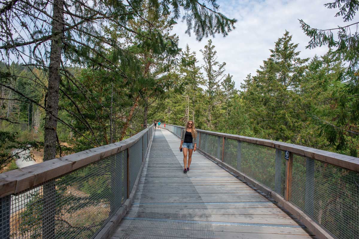 Bailey walks along the Malahat Skywalk in Malahat, British Columbia