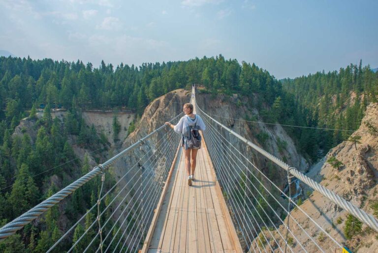 Bailey walks on the Golden Suspension Bridge in Golden, BC