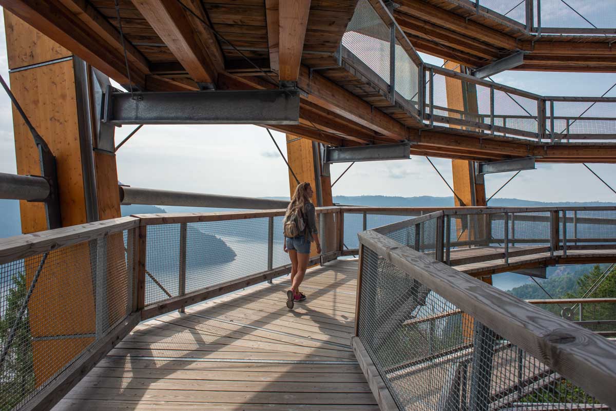 Bailey walks up the Malahat Skywalk in Malahat, British Columbia