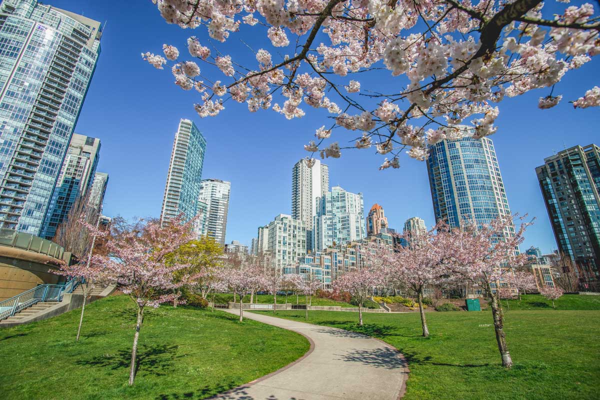 David Lam Park in Yaletown, Vancouver during spring! 