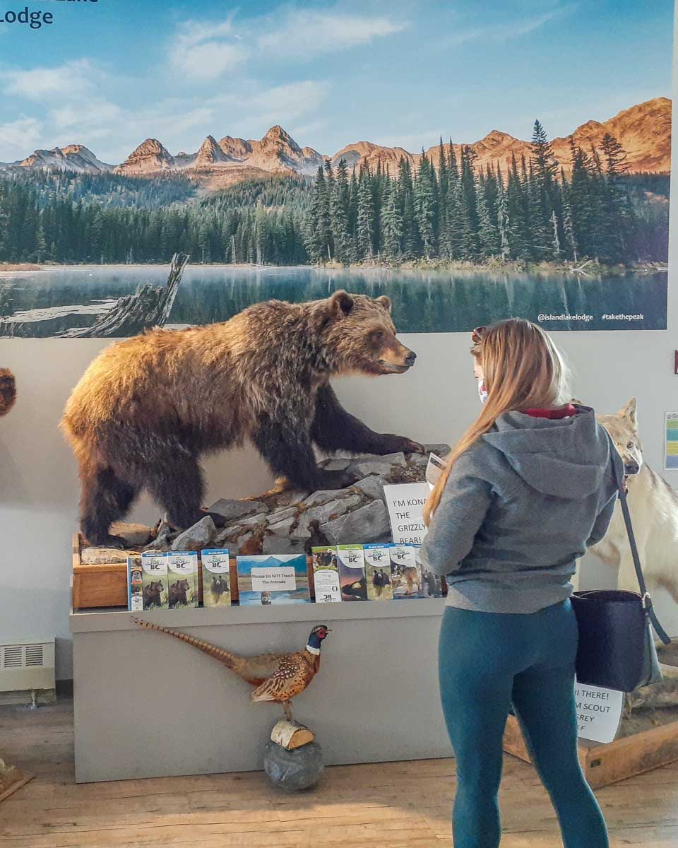 Display at Fernie visitor center