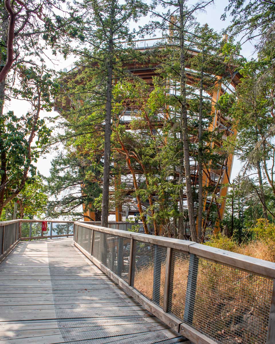 Tree walk at the Malahat Skywalk in Malahat, British Columbia