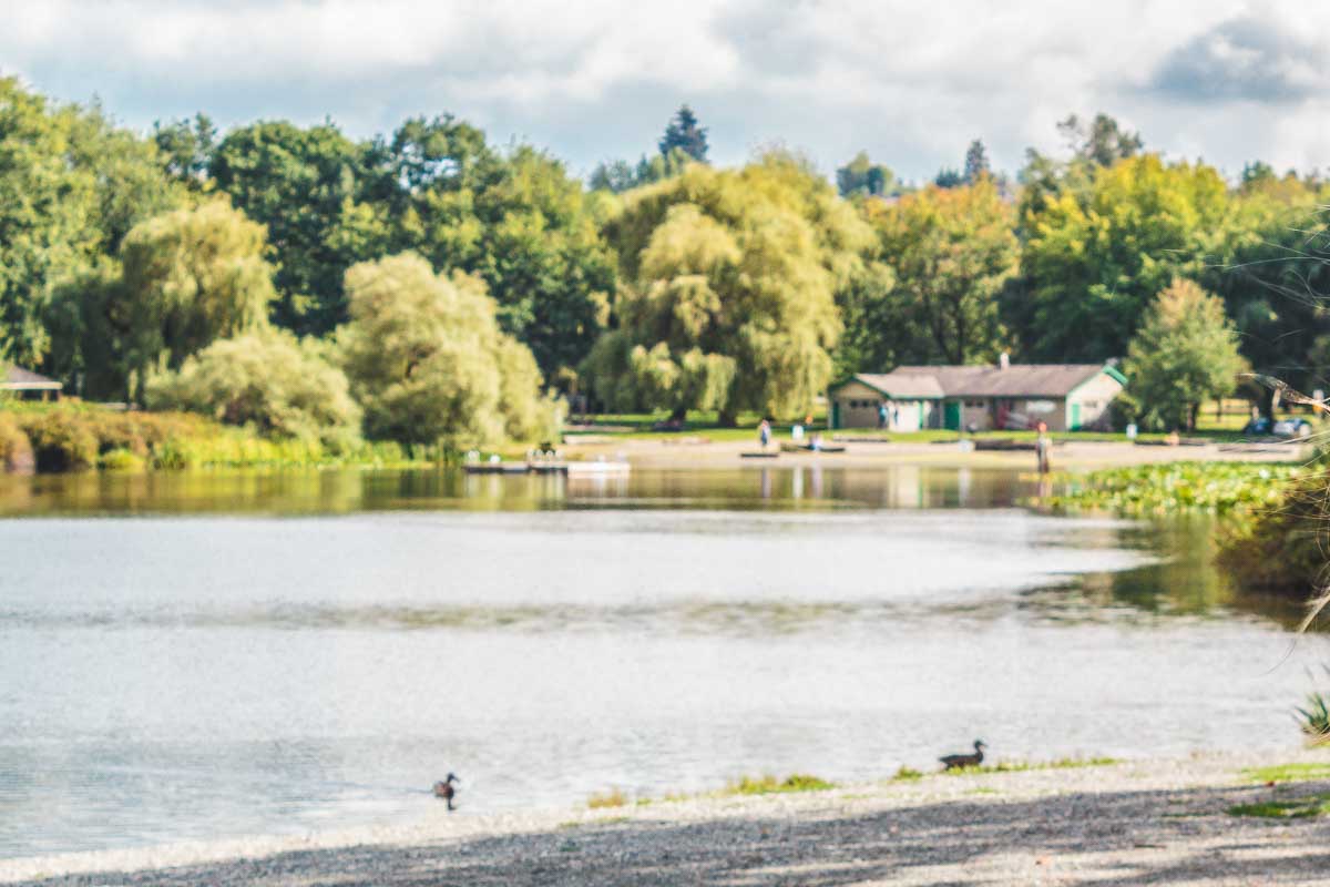 Trout Lake Beach , Vancouver