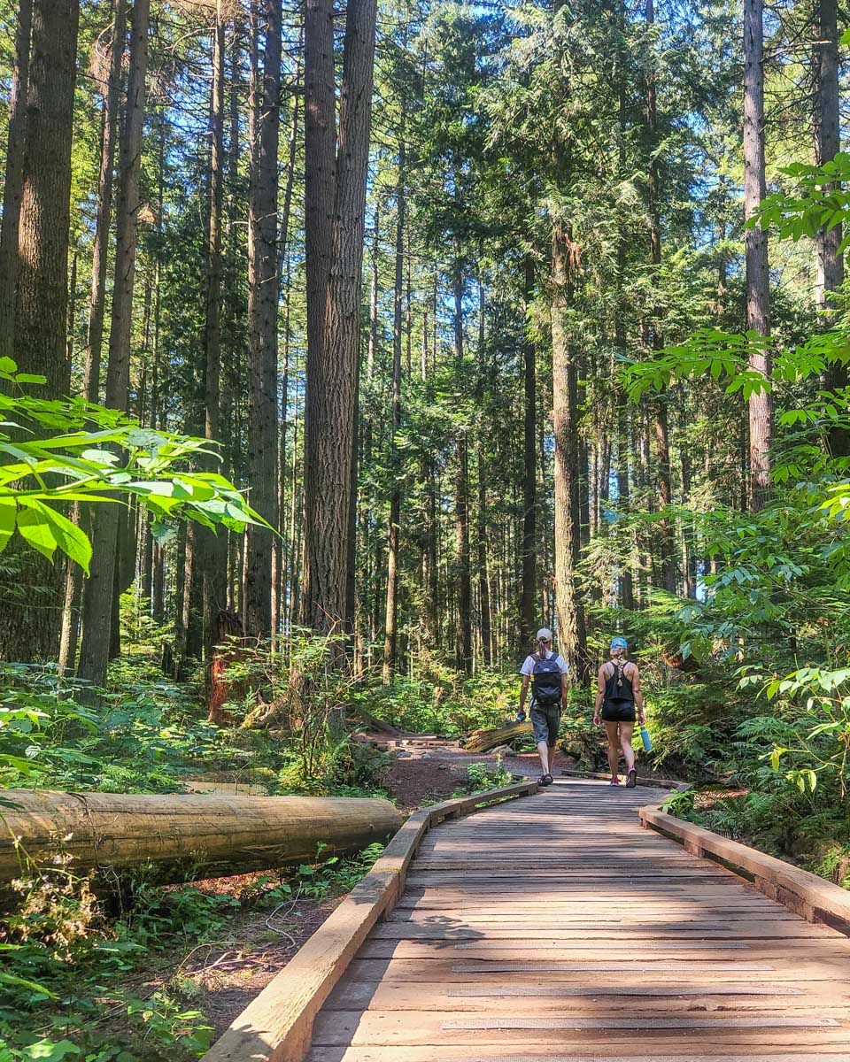Two people walk along a boardwalk in Pacific Spirit Regional Park'