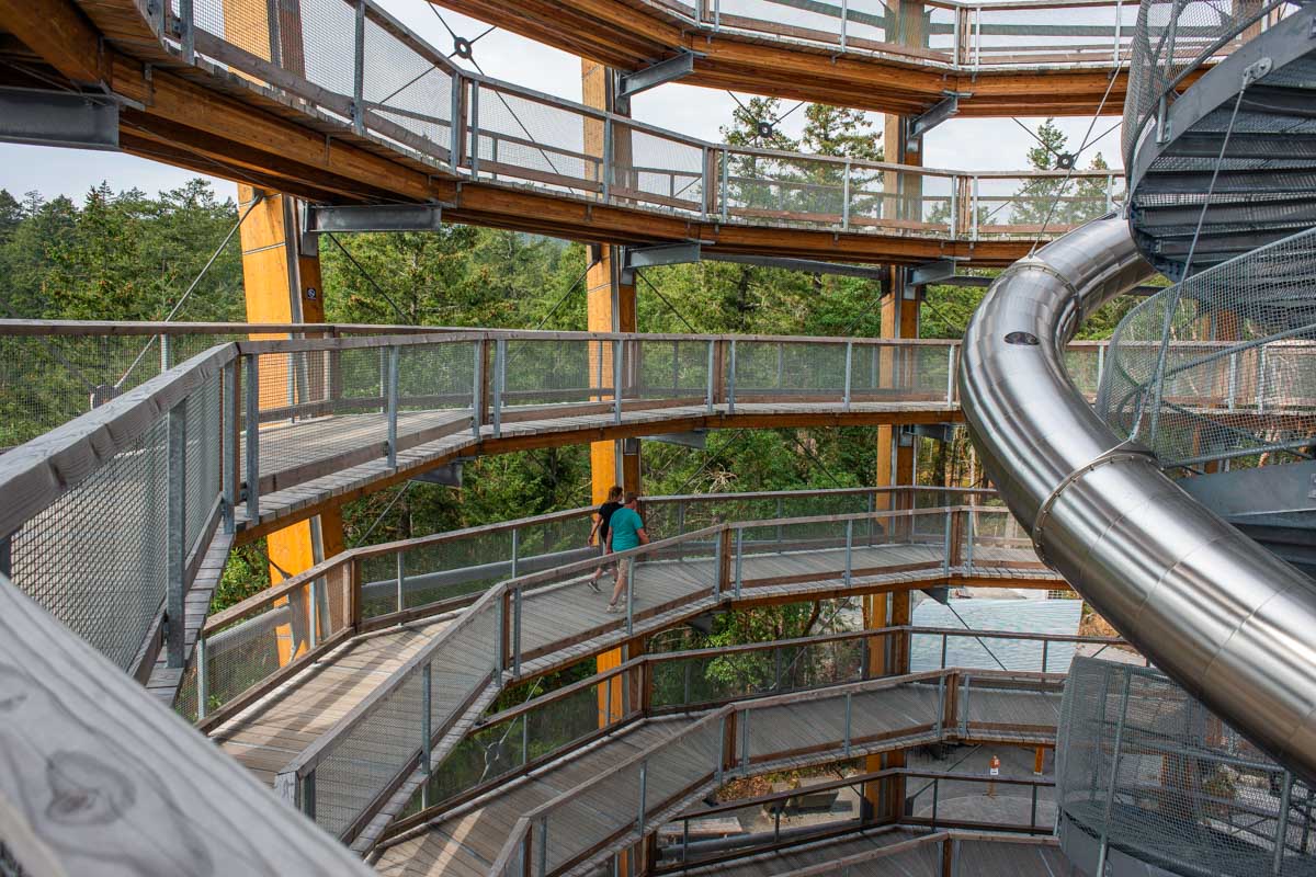 Walking platforms and slide at the Malahat Skywalk in Malahat, British Columbia