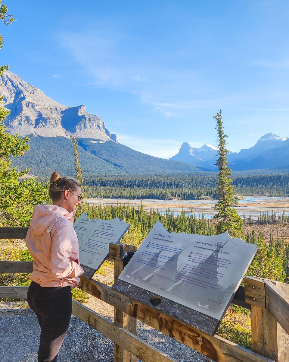 Bailey at the saskatchewan river crossing viewpoint