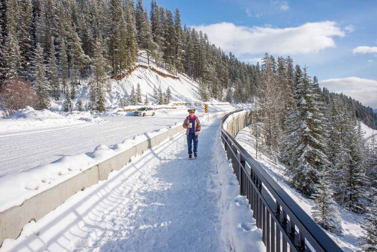 Bailey walks along the pathway to Morant's Curve in winter