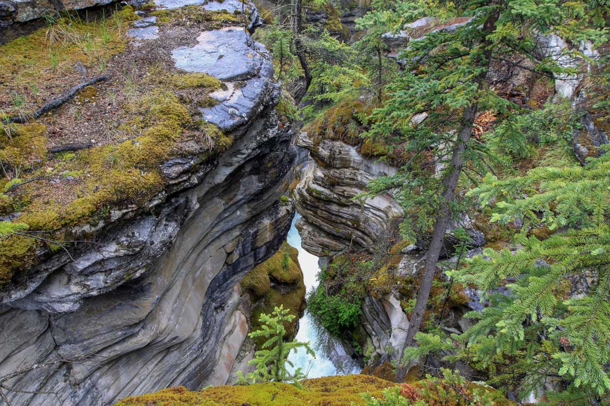 Deep cliffs and rushing water in Maligne Canyon in summer
