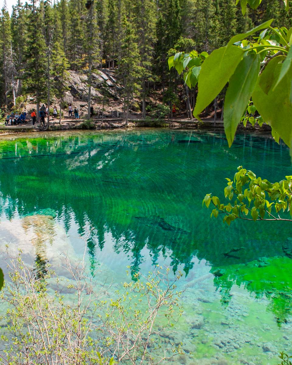 Green water at Grassi Lakes in Canmore Alberta