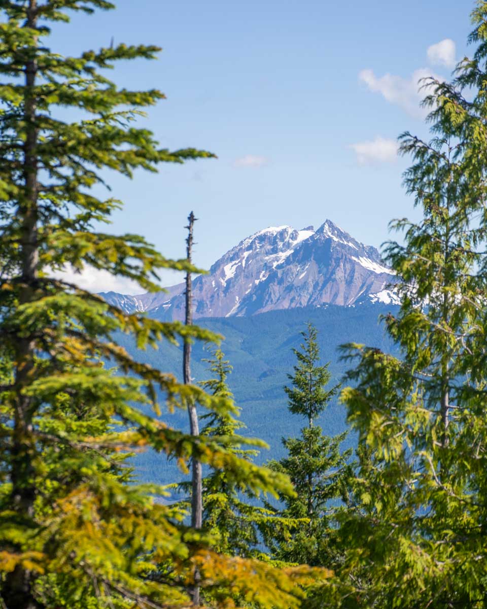 Mountain view through the trees at the top of the Sea to Sky Gondola